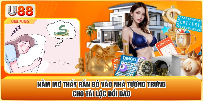 Nằm mơ thấy rắn bò vào nhà tượng trưng cho tài lộc dồi dào