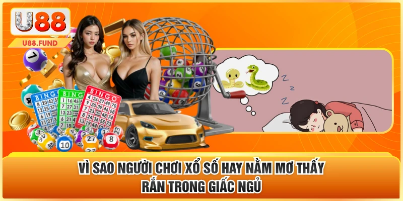 Vì sao người chơi xổ số hay nằm mơ thấy rắn trong giấc ngủ